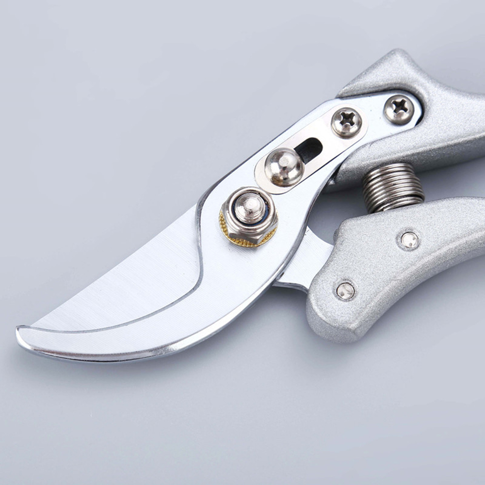 Tijeras de podar de jardín de  - Gardening Tools To Cut Branches reseña y precio