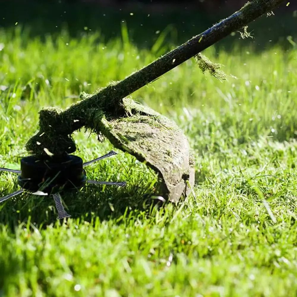 Cabezal de cepillo Universal p - Gardening Tools To Remove Grass reseña y precio