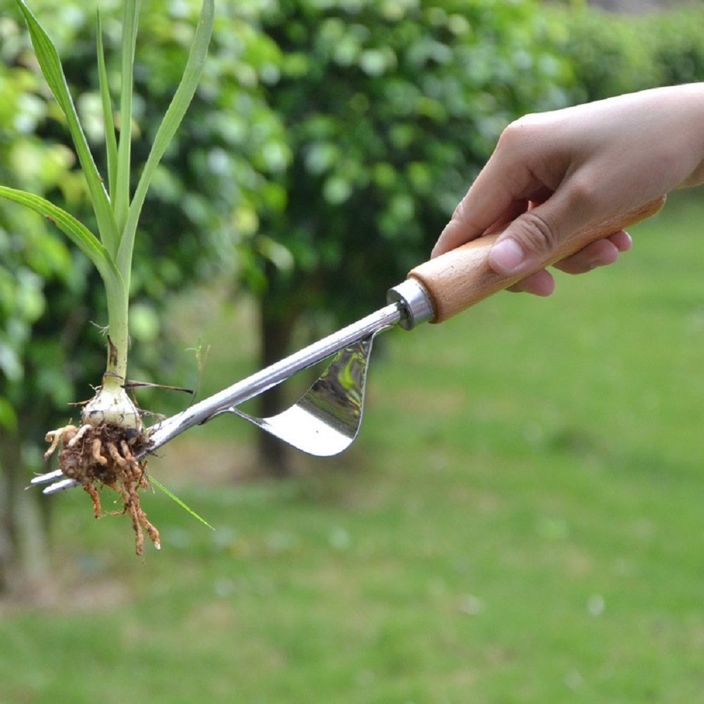 Removedor manual de malezas co - Gardening Tools To Remove Grass reseña y precio