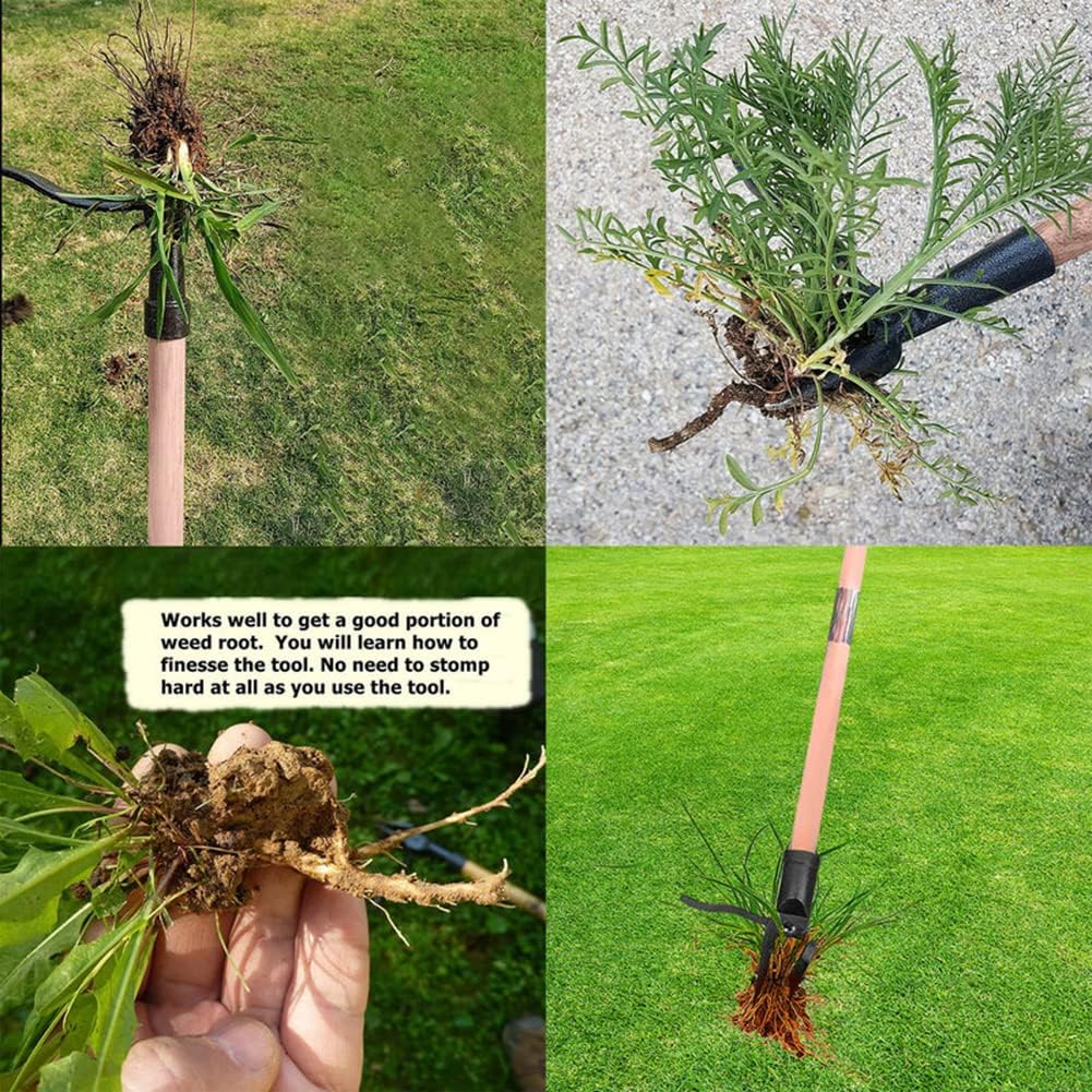Herramienta extractora de mala - Weed Puller reseña y precio