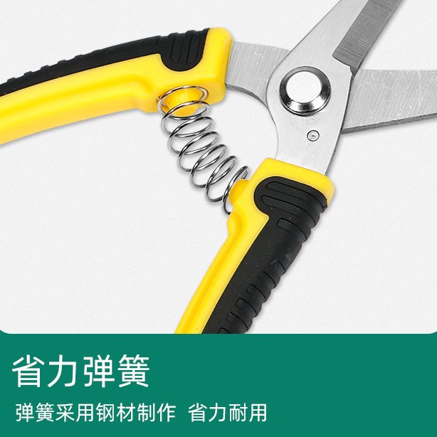 Tijeras de podar de acero inox - Gardening Tools To Cut Branches reseña y precio