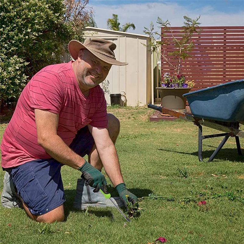 ABLK Paquete de 2 Herramientas - Weed Puller reseña y precio