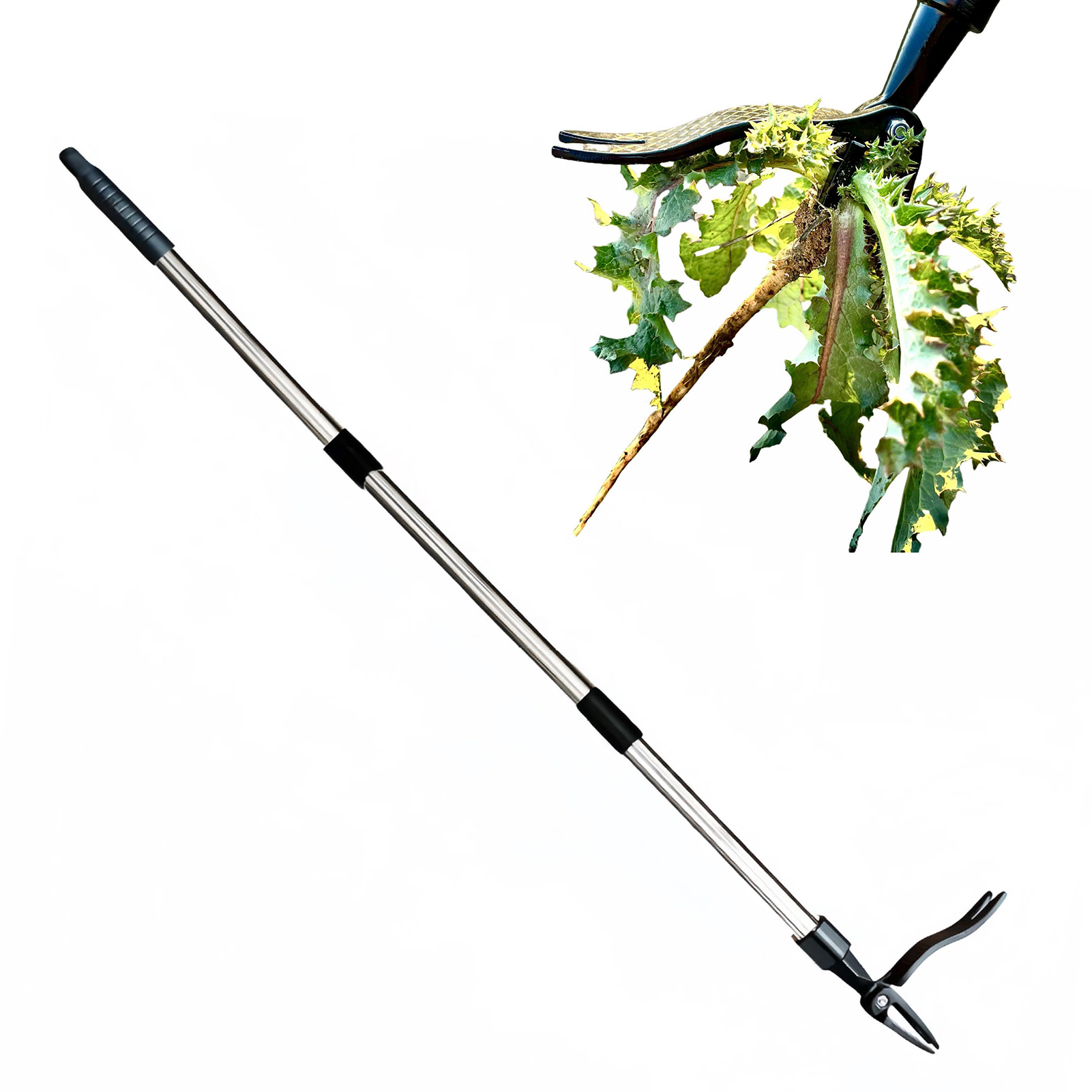 Extractor de malas hierbas de  - Gardening Hand Tools Yard reseña y precio