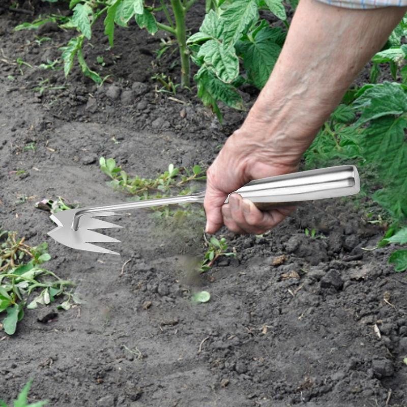 Herramienta extractora de desh - Gardening Tools To Remove Grass reseña y precio