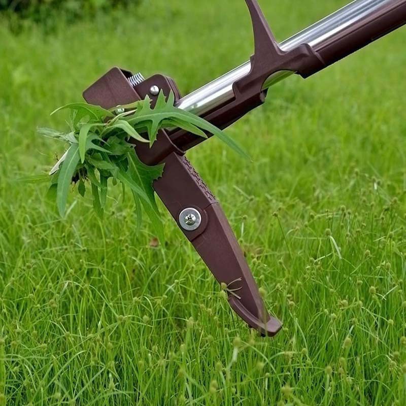Herramienta de eliminación de  - Gardening Tools To Remove Grass reseña y precio