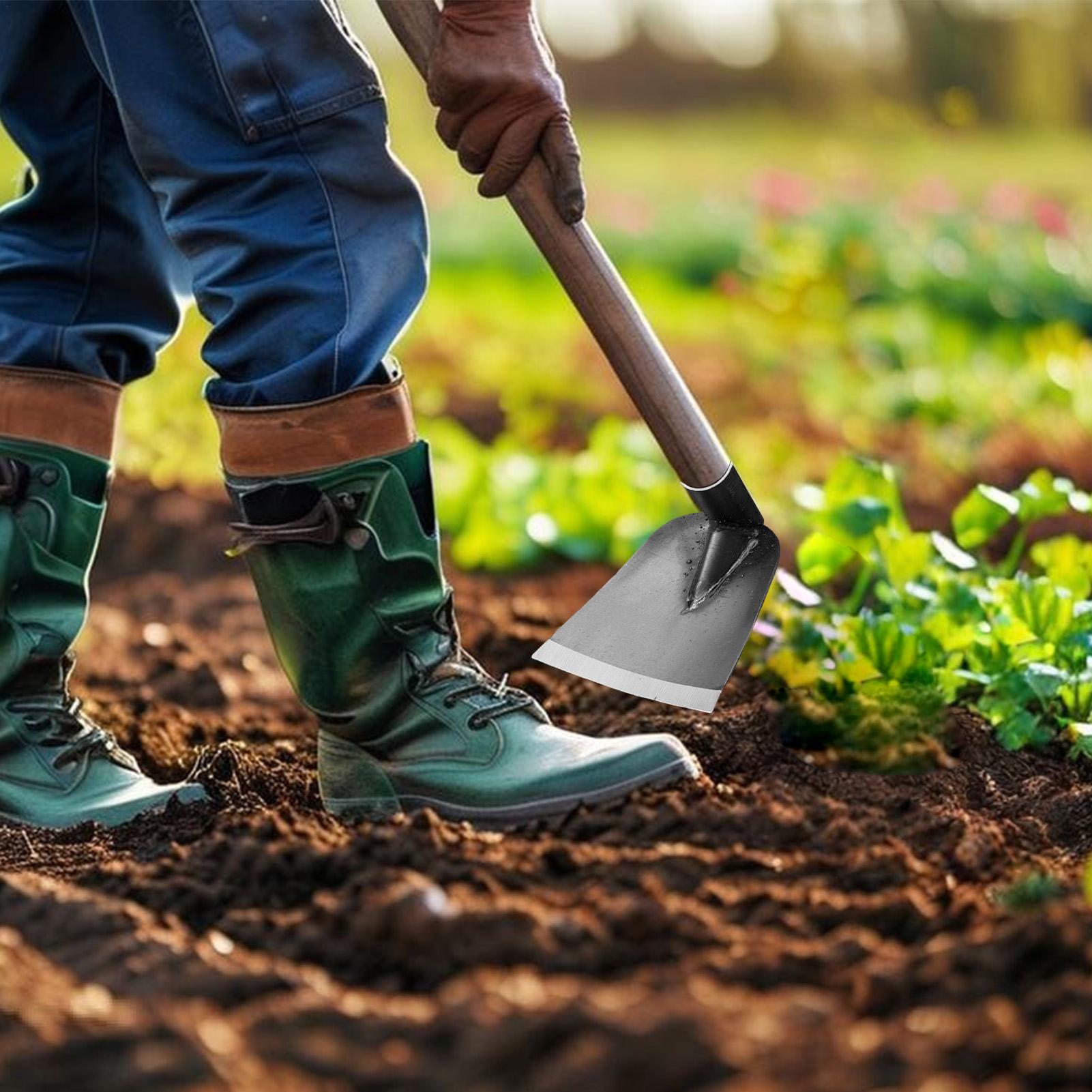 Azada de jardín de acero al ma - Gardening Tools To Remove Grass reseña y precio