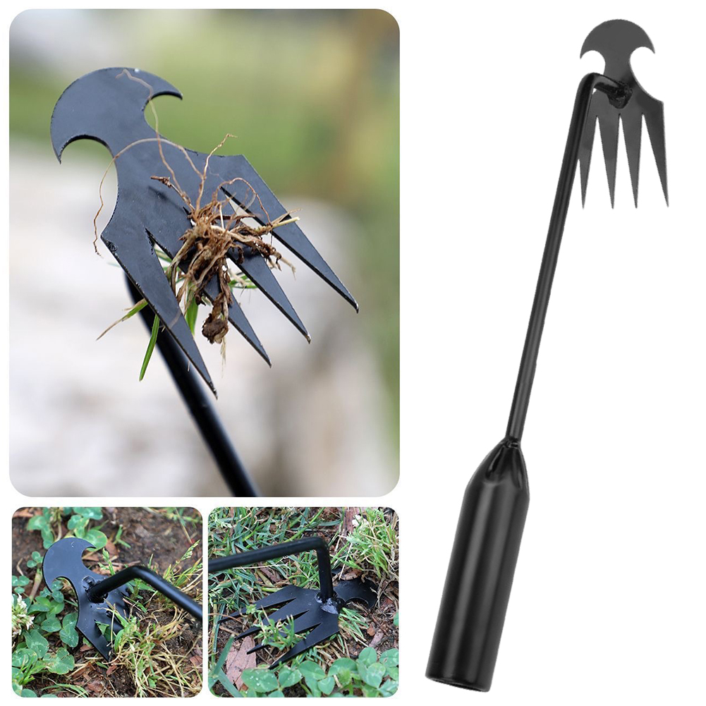Herramienta de azada de jardín - Weed Puller reseña y precio