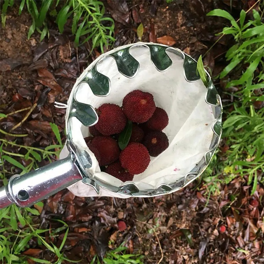 Cesta Robusta para Recoger Fru - Gardening Tools Basket reseña y precio