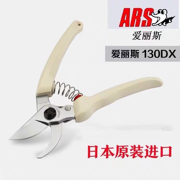 Tijeras de podar, herramientas - Gardening Tools Japan reseña y precio