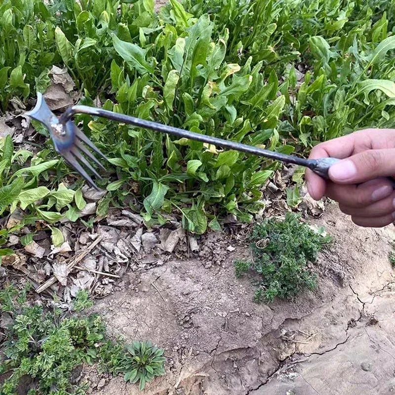 Desmalezador manual de jardín  - Gardening Tools To Remove Grass reseña y precio