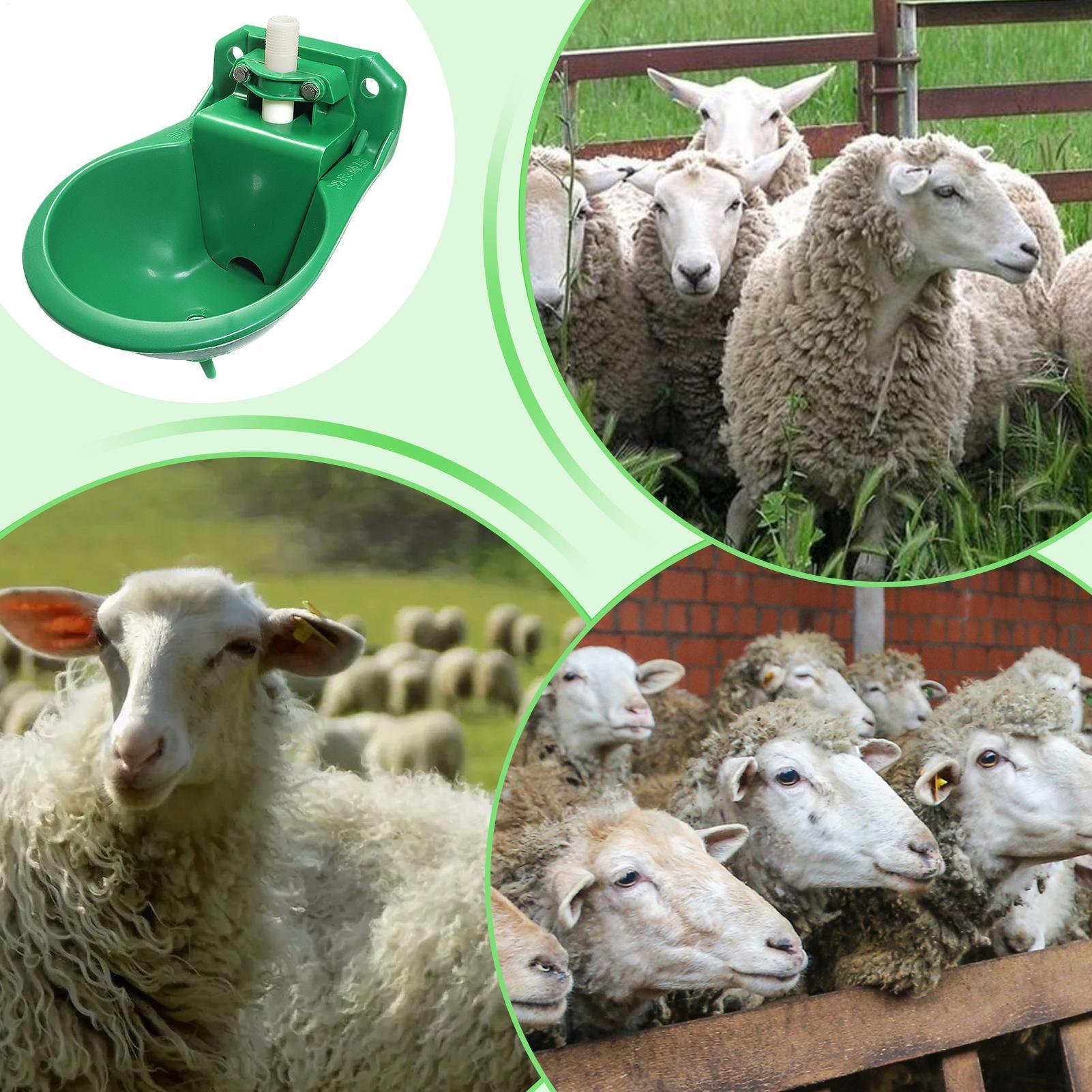 Bebedero para Caballos con Vál - Gardening Tools For Women reseña y precio