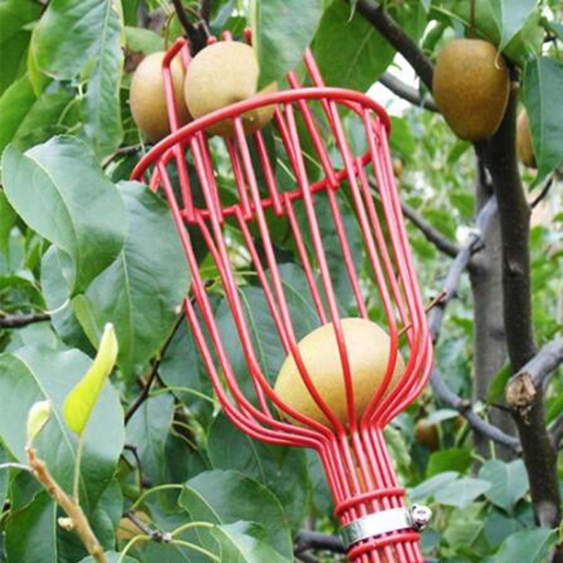 Cabezal Recolector de Frutas P - Gardening Tools Basket reseña y precio