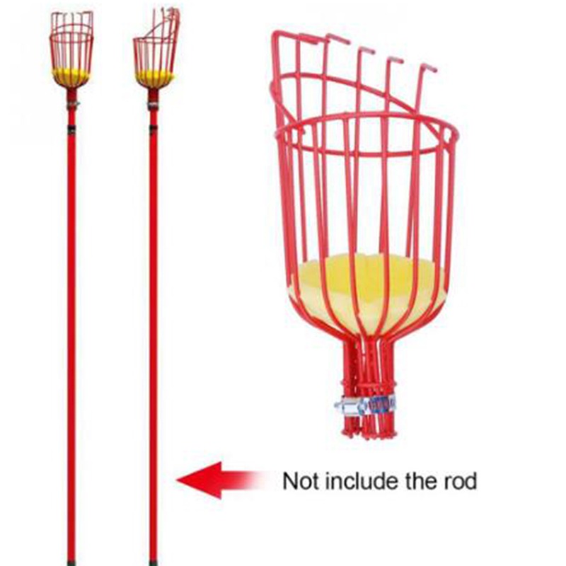 Cabezal Recolector de Frutas P - Gardening Tools Basket reseña y precio