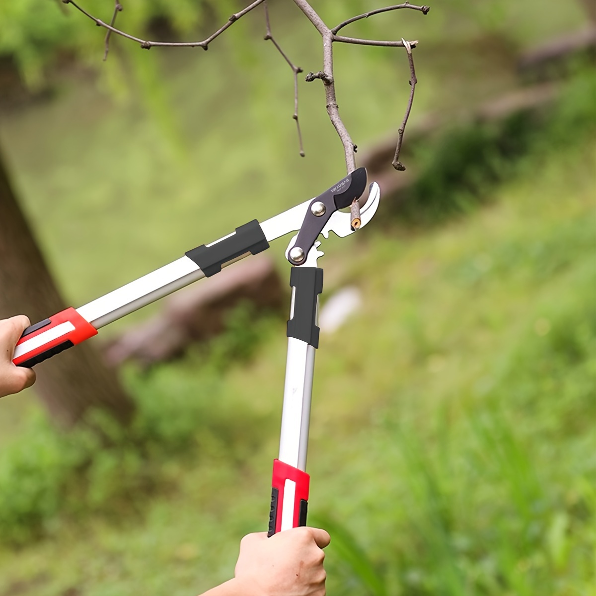 Tijeras de Podar Resistentes d - Gardening Tools To Cut Branches reseña y precio