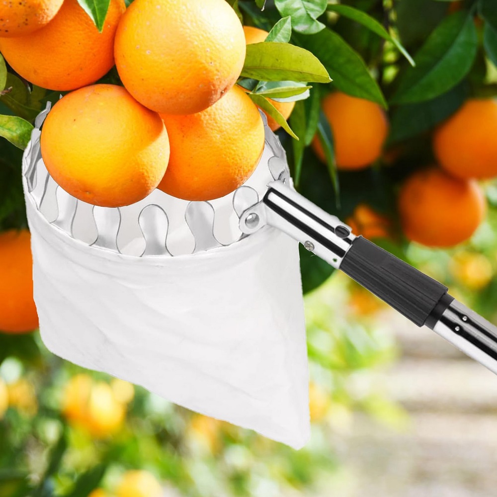 Palo Telescópico Recolector de - Gardening Tools Basket reseña y precio