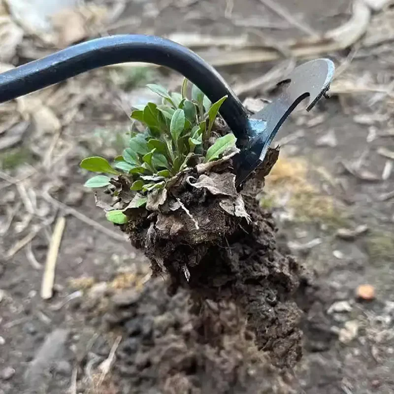 Desmalezador de Jardín de Acer - Weed Puller reseña y precio