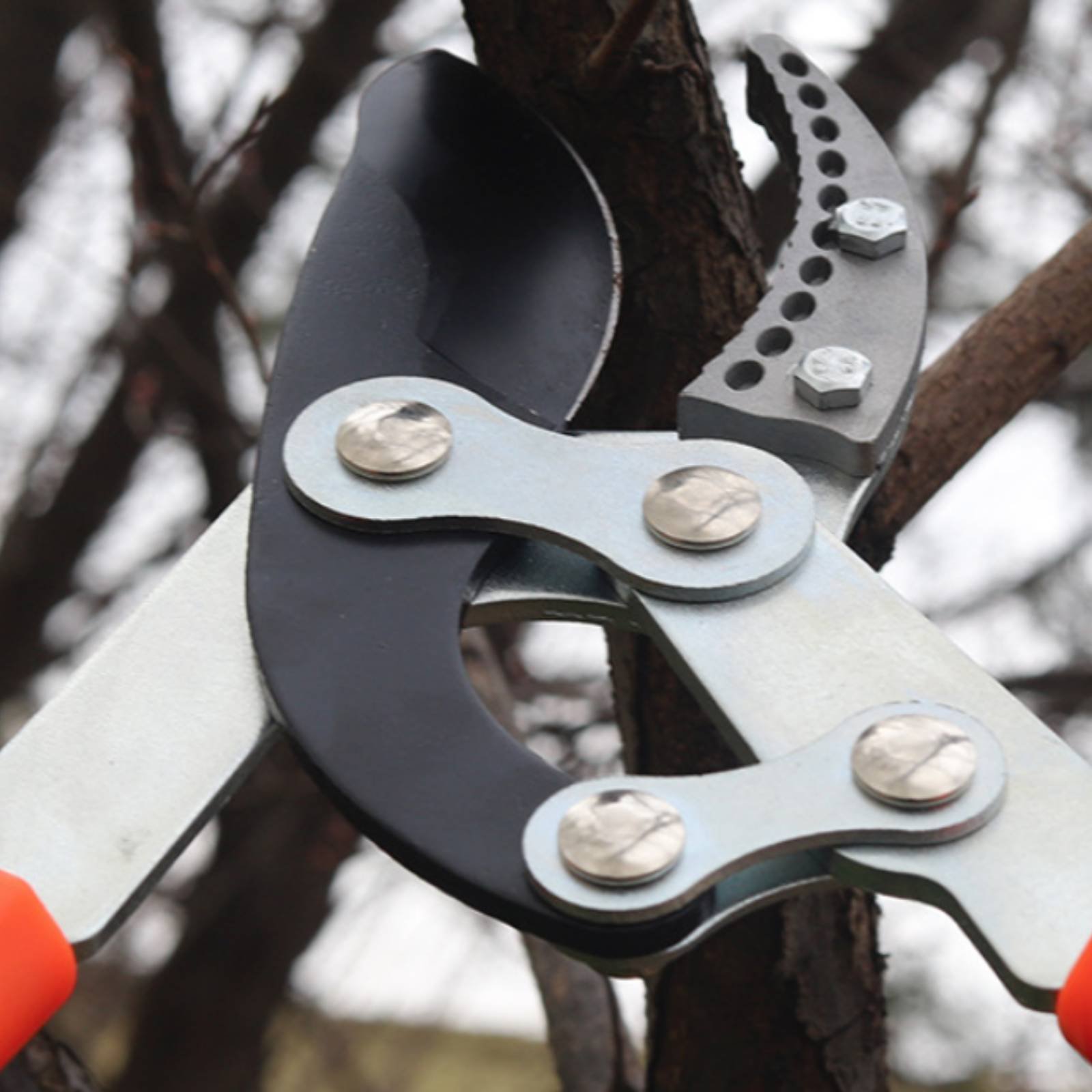 Podadoras telescópicas para ra - Gardening Tool reseña y precio