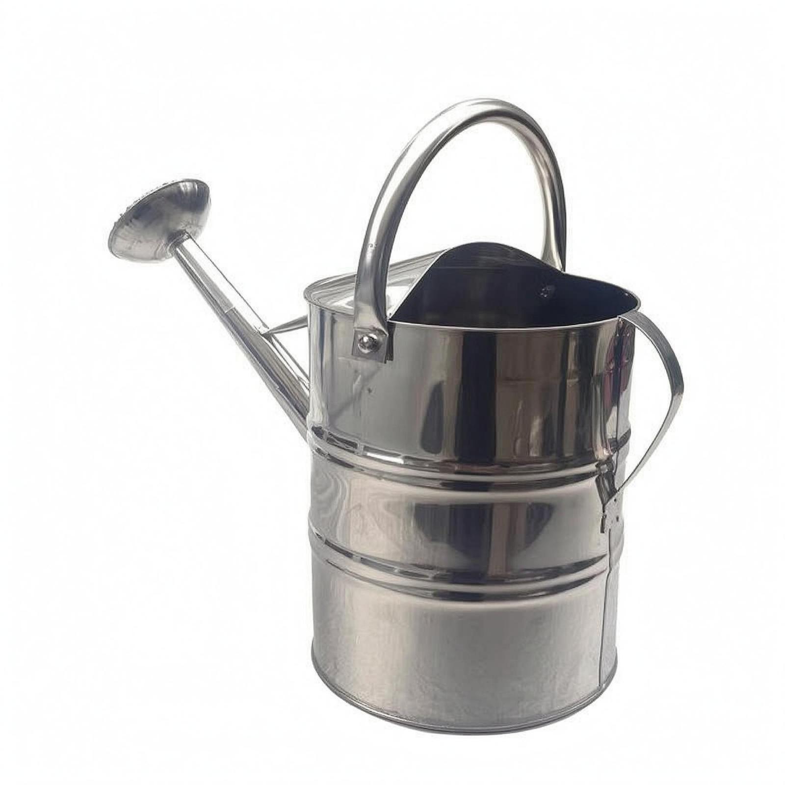 Regadera de Acero Inoxidable p - Gardening Tools Watering Can reseña y precio