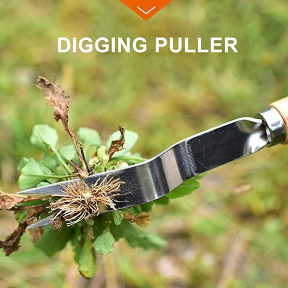 Deshierbe de jardín de acero i - Weed Puller reseña y precio