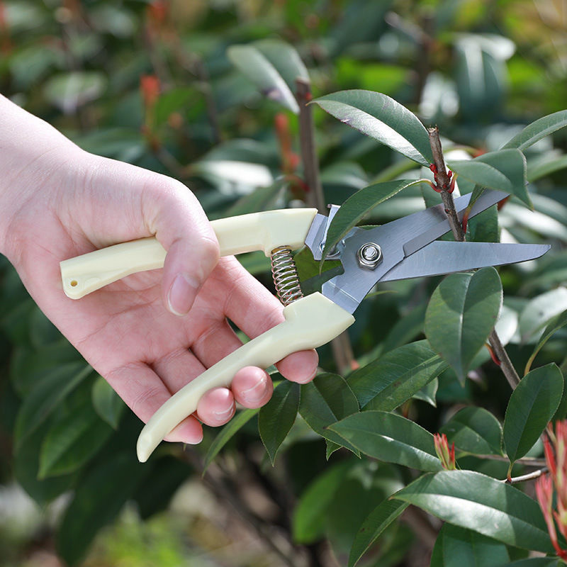 Tijeras de Podar de Acero Inox - Gardening Tools To Cut Branches reseña y precio