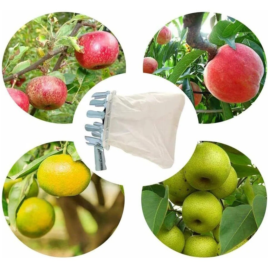Herramienta Profesional para R - Gardening Tools Basket reseña y precio