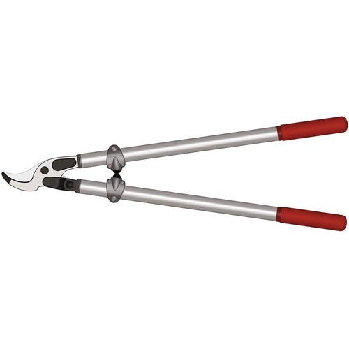 Tijeras de Podar de Repuesto C - Gardening Tools To Cut Branches reseña y precio