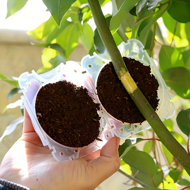 Kit de 10 Piezas para Propagac - Gardening Tools To Cut Branches reseña y precio