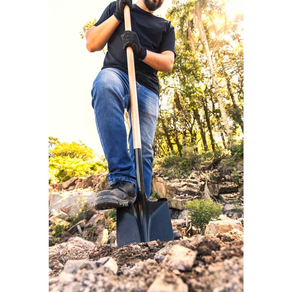 Pala de Jardín de Acero al Car - Gardening Hand Tools Yard reseña y precio