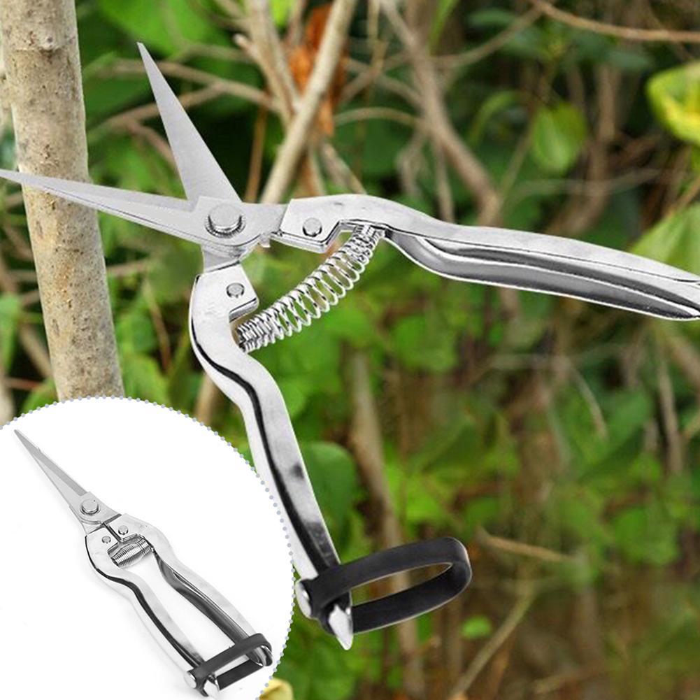 Tijeras de podar, tijeras de j - Gardening Hand Tools Yard reseña y precio